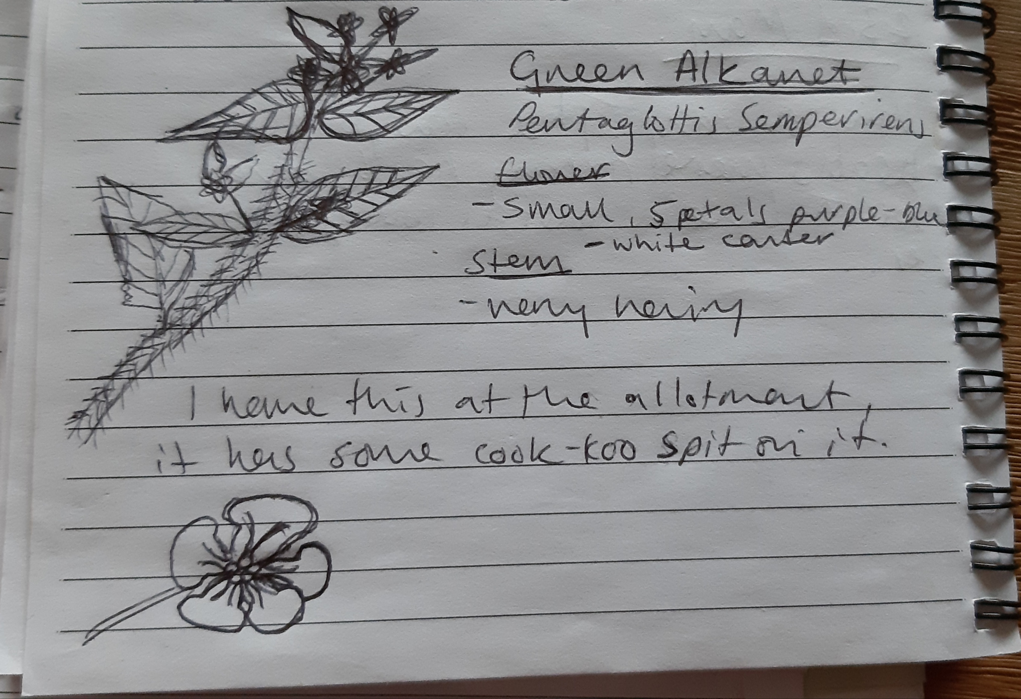 nature_journal